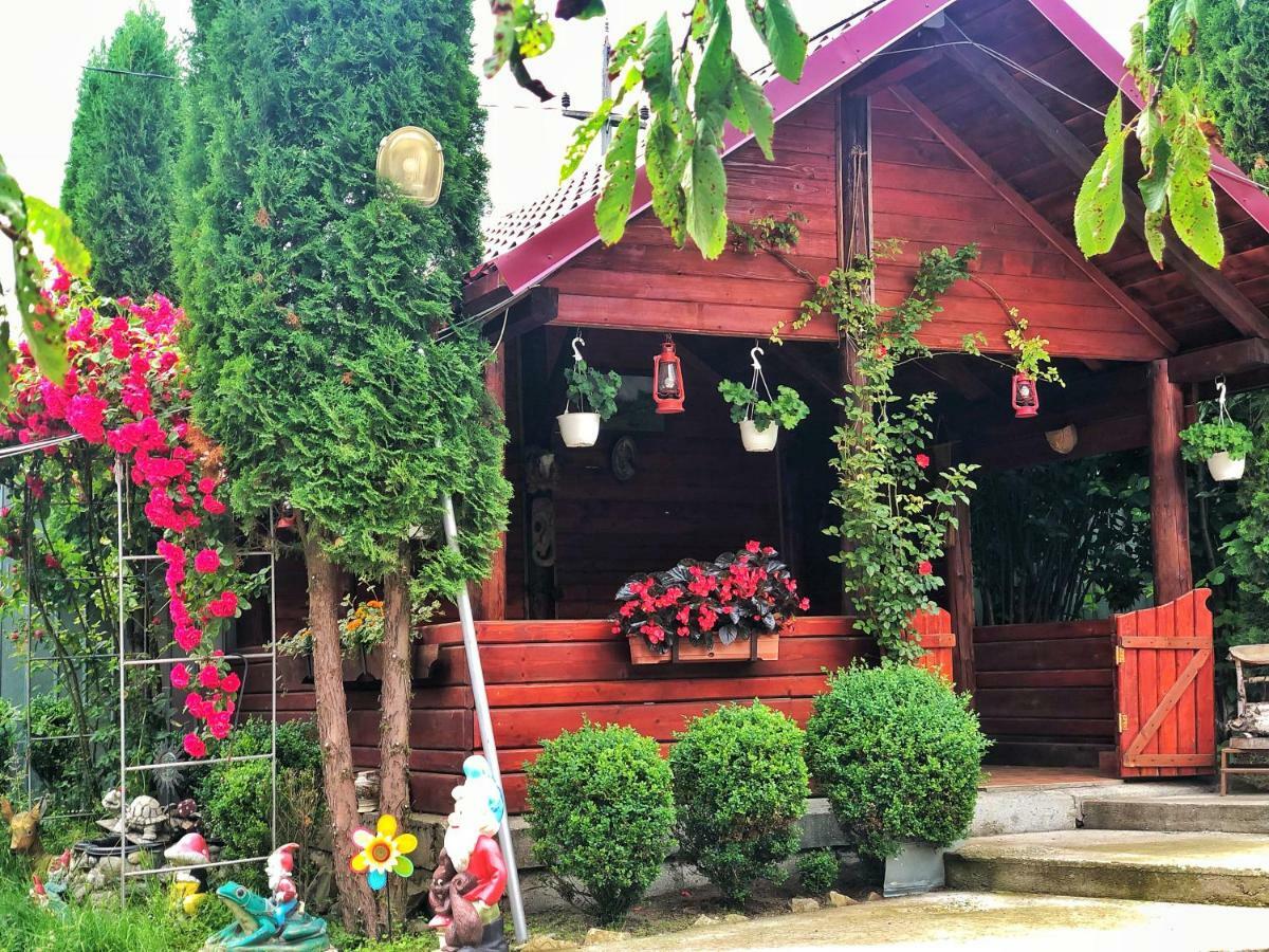 Casa Boico Hotel Gura Humorului Exterior photo